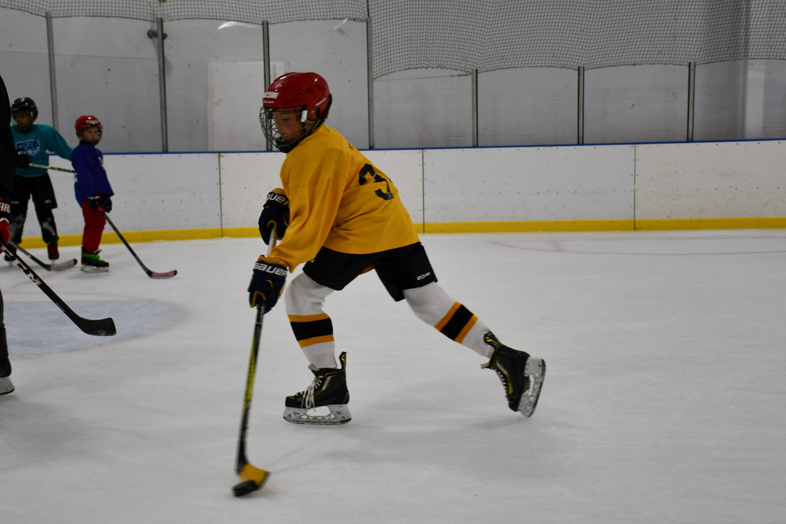 Willowbrook Ice Arena youth hockey player